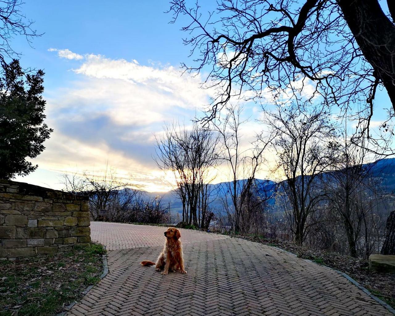 Agriturismo Il Salice Tizzano Val Parma 외부 사진